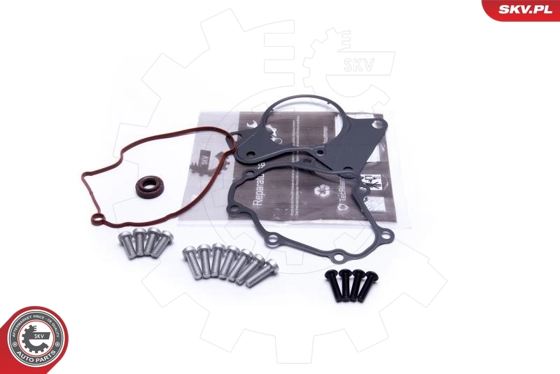 Repair Set, vacuum pump (braking system)